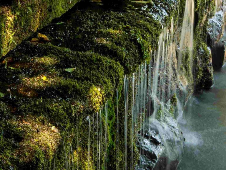 Outdoor-Wasserfilter: So trinkst du unterwegs immer sauberes Wasser