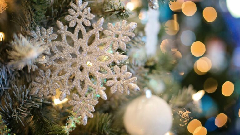 Weihnachtsgeschenke: Wie gut passt Krisenvorsorge unter euren Tannenbaum?